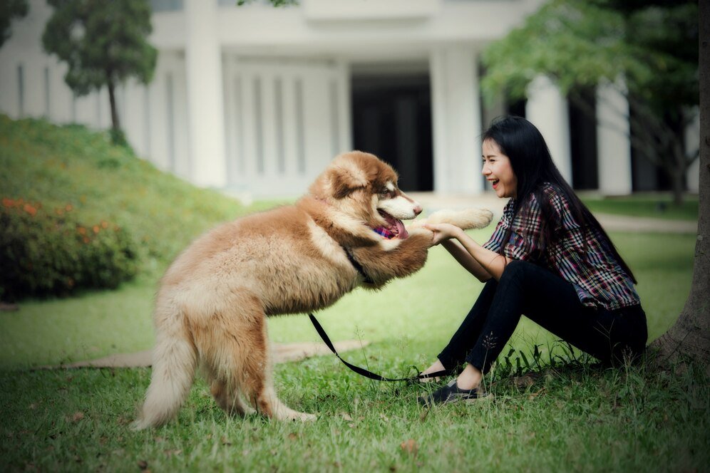 CANINE COMMUNICATION